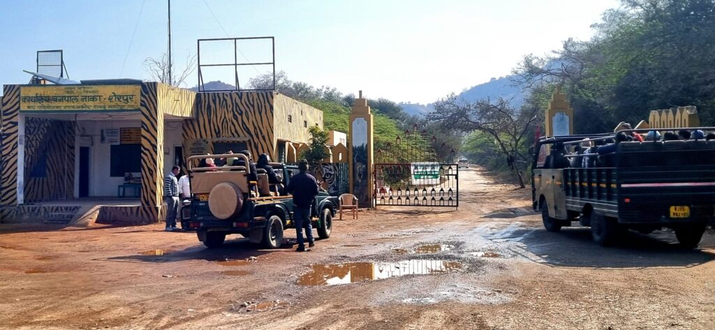 The entrance to centuries of stories at Ranthambore Fort.