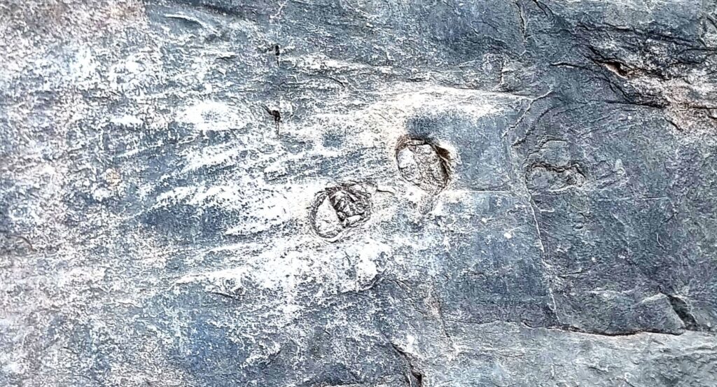 Horse Foot Prints on Fort Walls